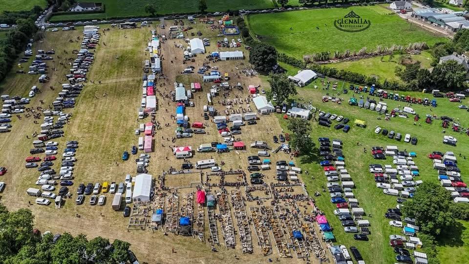 Finn Valley Show