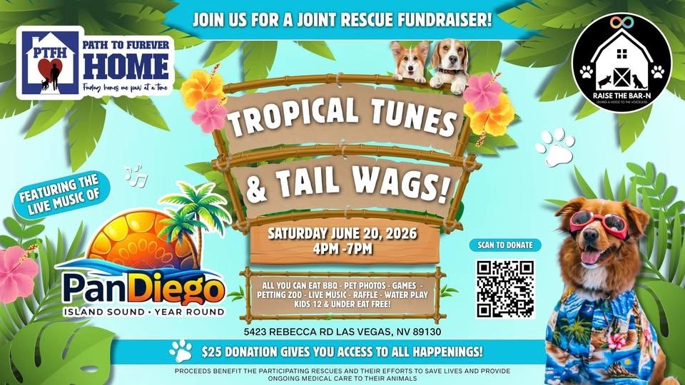 Tropical 🌴 Tunes 🎶 & Tail Wags!☀️🐶🐾🌸