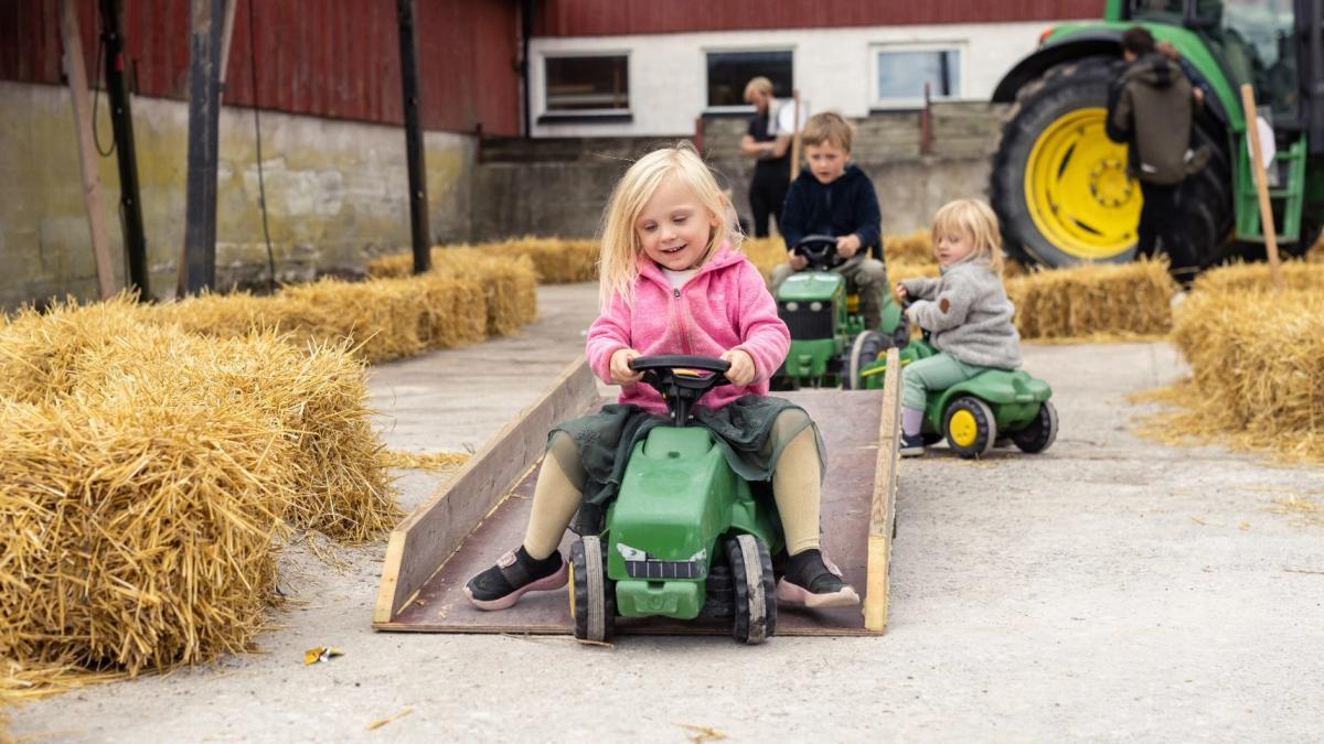 Gotlands Skördefestival 2026
