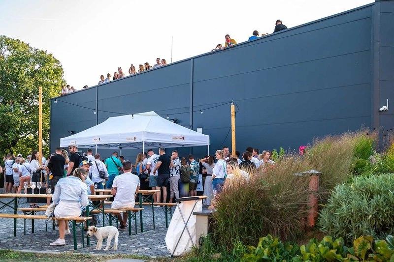 Vlci a ruže Minifestival 2026