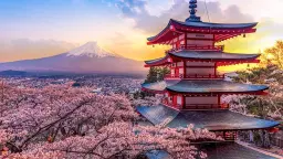 Cherry Blossoms in Japan...The Golden Triangle-incl. Tokyo, Kyoto, and Osaka