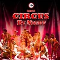 Gandeys Circus By Night Halifax
