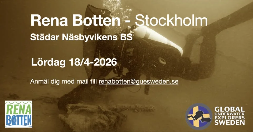 Rena Botten städar hos Näsbyvikens BS