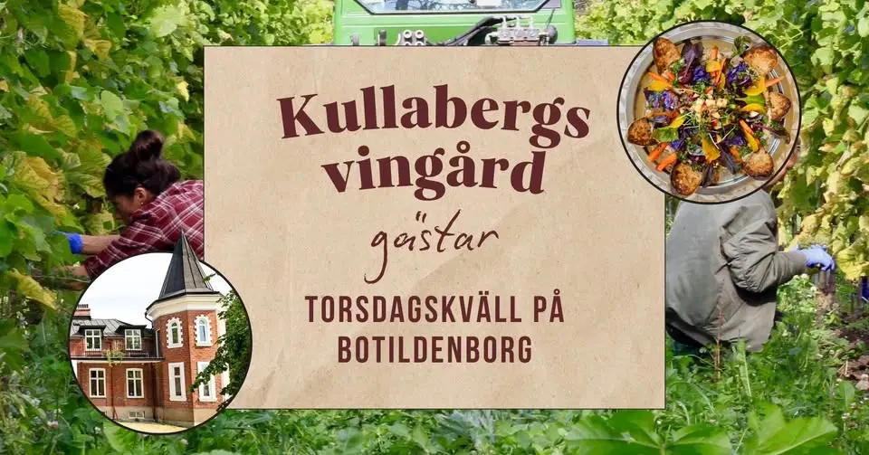 Kullabergs Vingård gästar Torsdagskväll på Botildenborg 🍇🥂