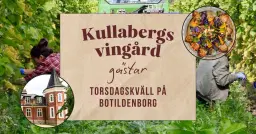 Kullabergs Vingård gästar Torsdagskväll på Botildenborg 🍇🥂