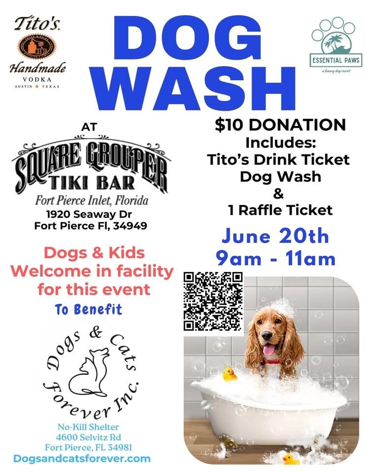 DOG WASH FOR A CAUSE - Benefiting Dogs & Cats Forever No-Kill Shelter