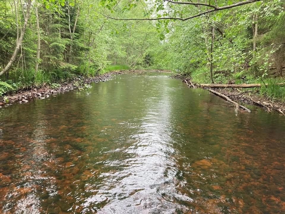 Naturvård i Limån