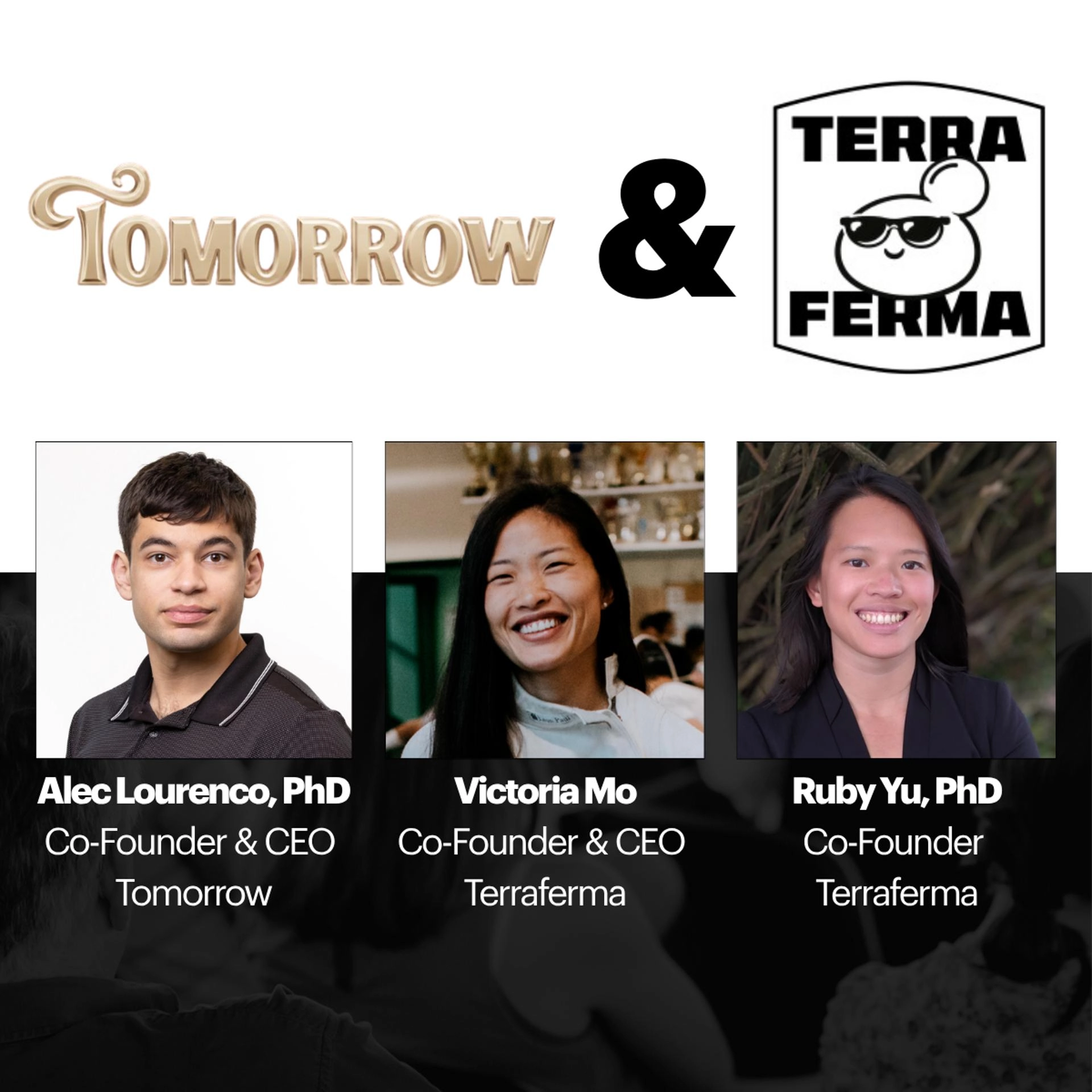 Founders at Work: Tomorrow & Terraferma