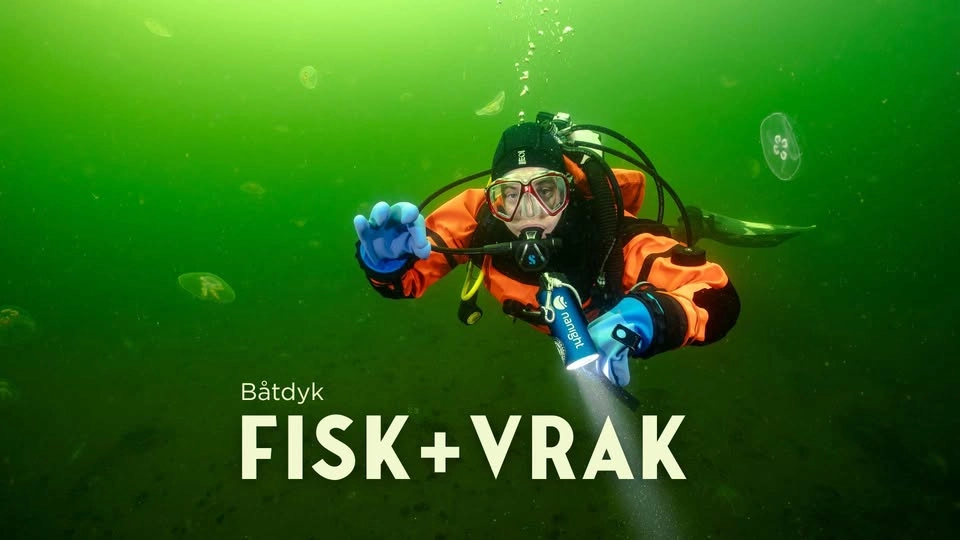Båtdyk Fisk & Vrak Juni
