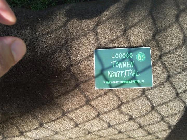 100000 Tonnen Kruppstahl + 30000 Monkeys (BEL) + Borders Down