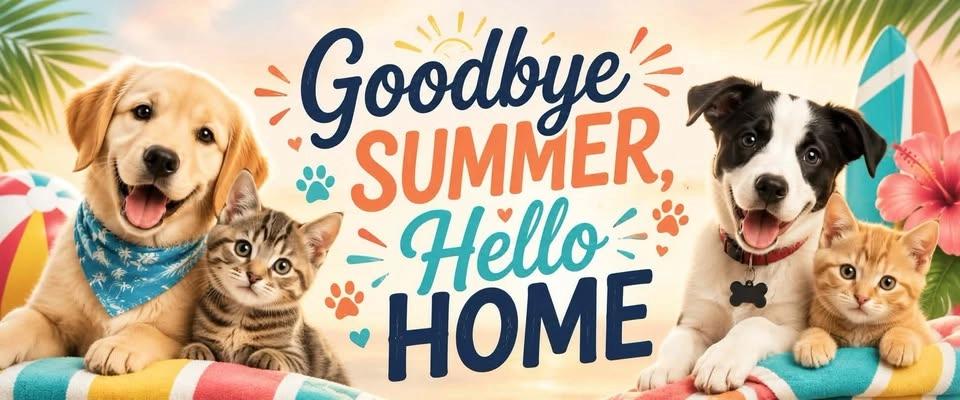 🌞🏡 Goodbye Summer, Hello Home 🐾🌞