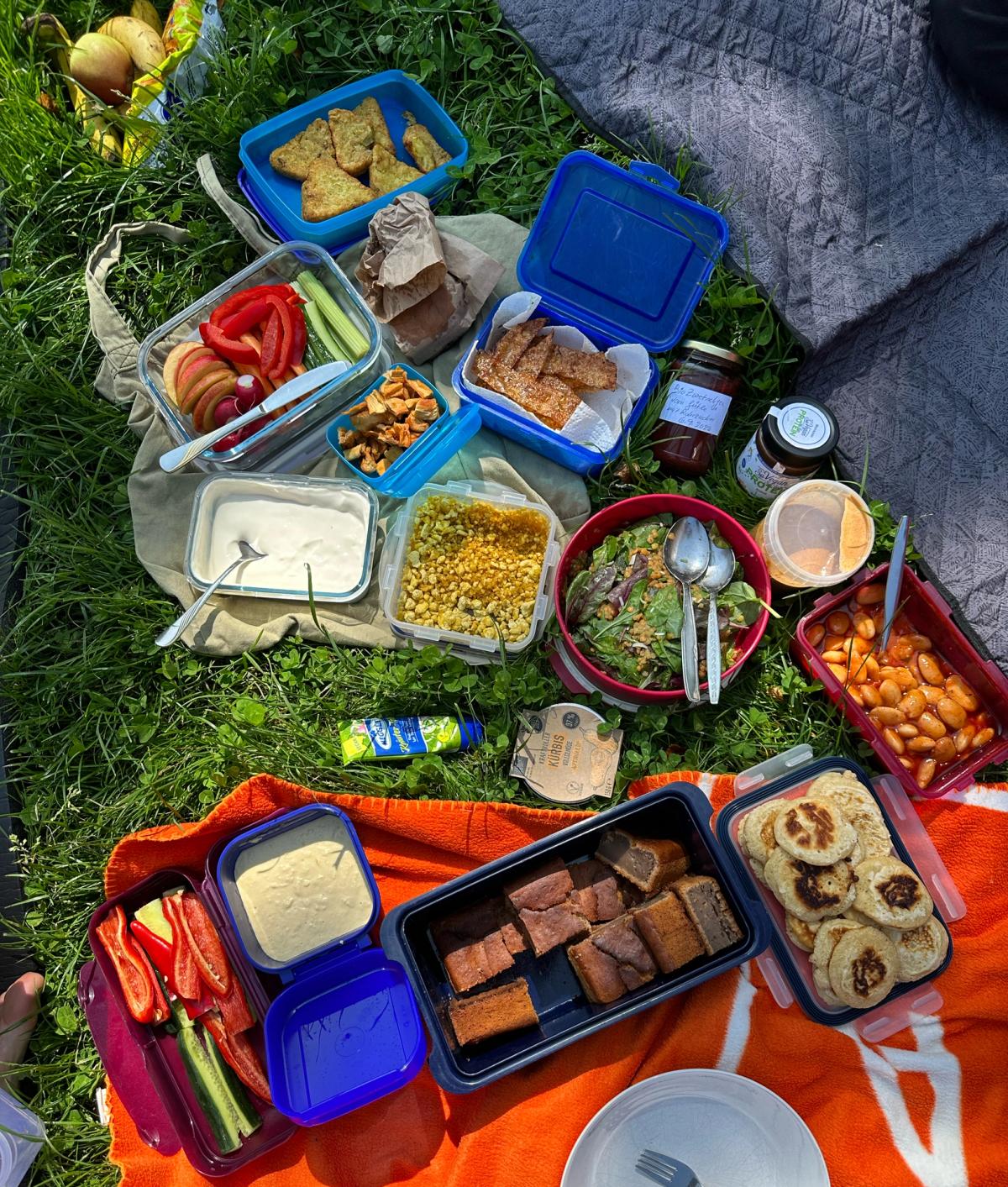 Veganer Mitbringbrunch 29.03.2026