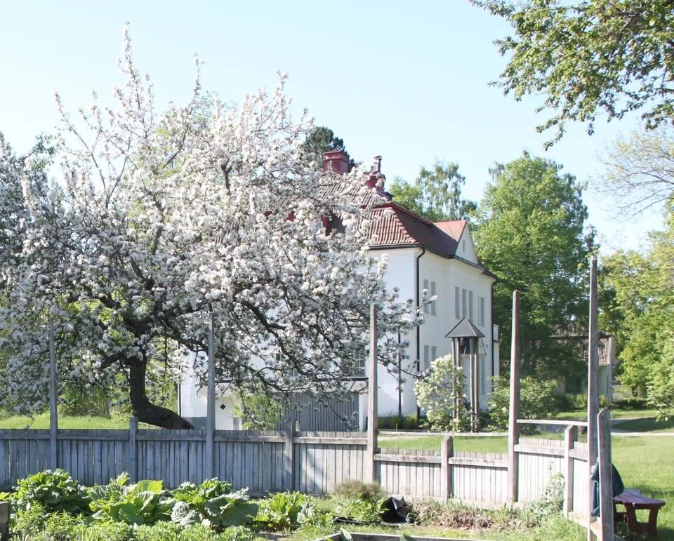 Liekurs med SlÄttergubben pÄ Skillebyholm - 26 Juni
