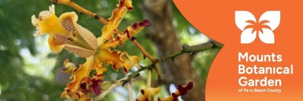 2nd Annual Speakers Day 2026: The Great Orchid Extravaganza