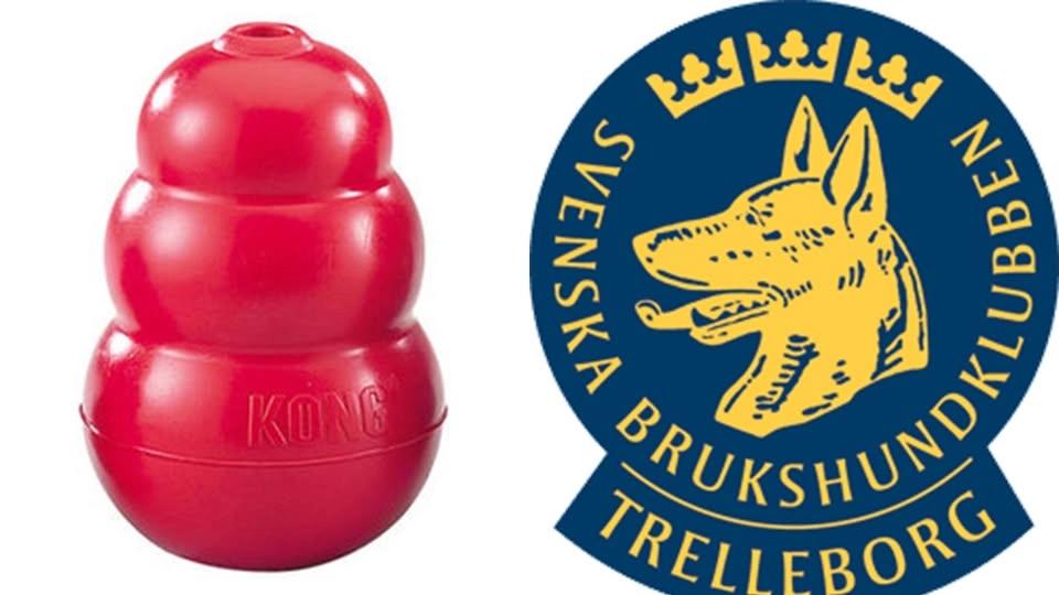 Specialsök för Nybörjare