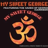 My sweet George @ Rainford Junction Pub