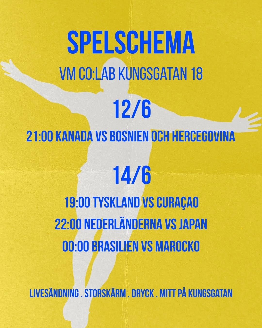 VM Live - Nederländerna vs Japan
