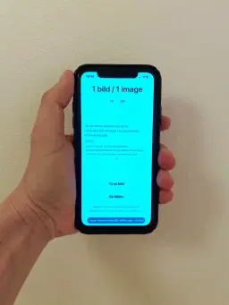 Niklas Wallenborg: 1 Bild / 1 Image