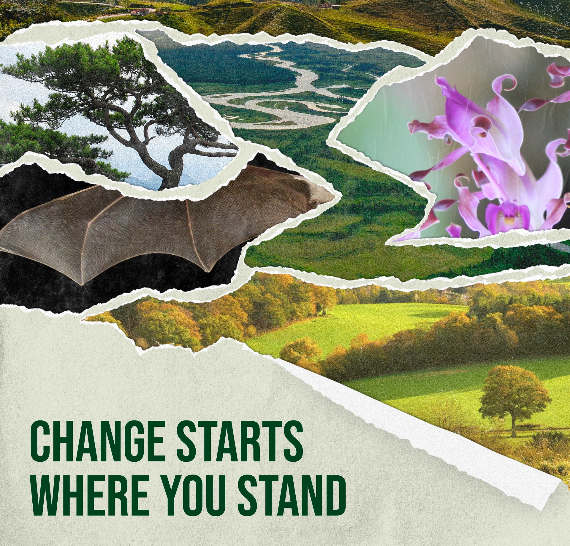 2026 Goldman Environmental Prize Ceremony & Reception