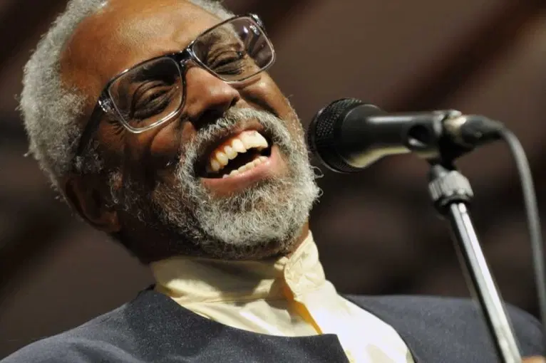 The Ray Charles Experience by Lee Andrew Davison