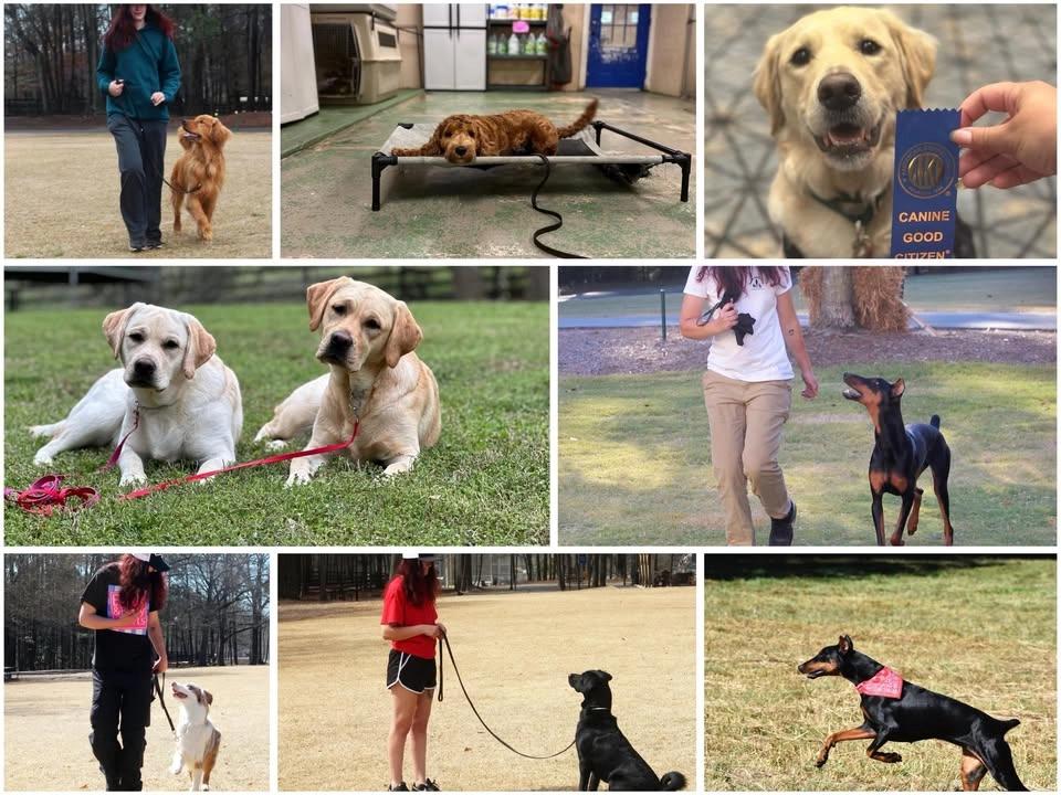 Braves Watch Pawrty w/Canine UnderDawgs Alumni