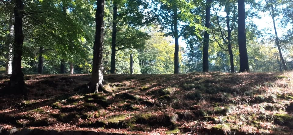 Guidad Stavgångsvandring - Avslutning med besök Lokal HGF Högsbotorp