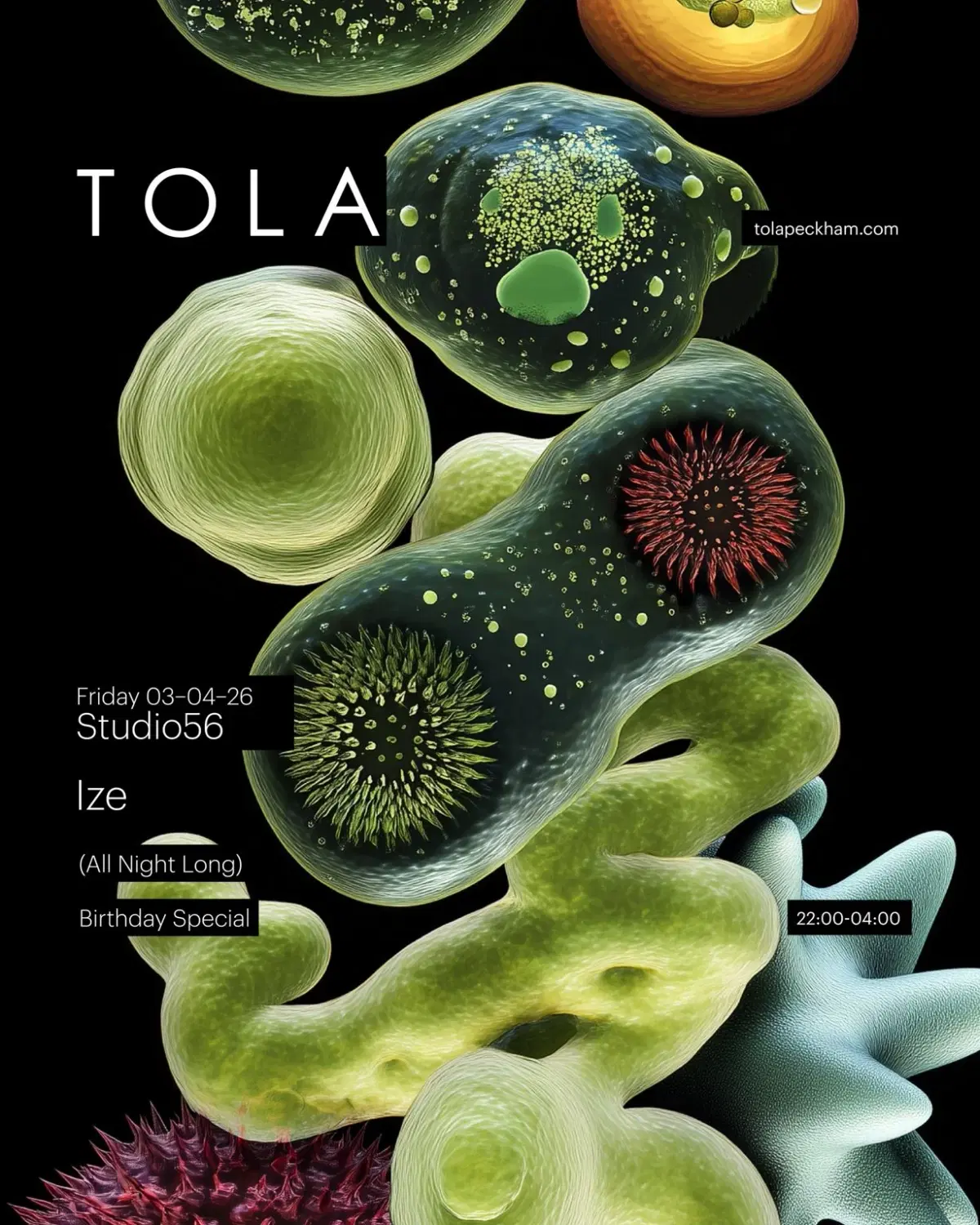 IZE All Night Long - Birthday Special