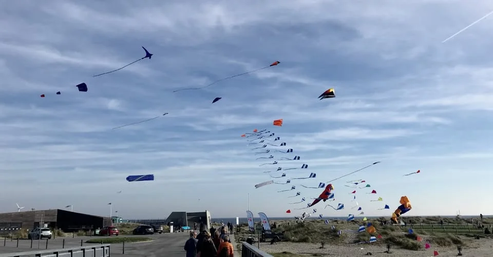 Dragefestival og strandåbning på Naturcenter Amager Strand