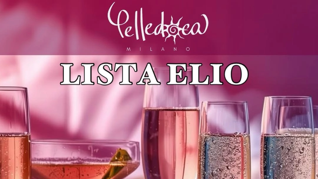 PELLEDOCA PARTY SINGLE