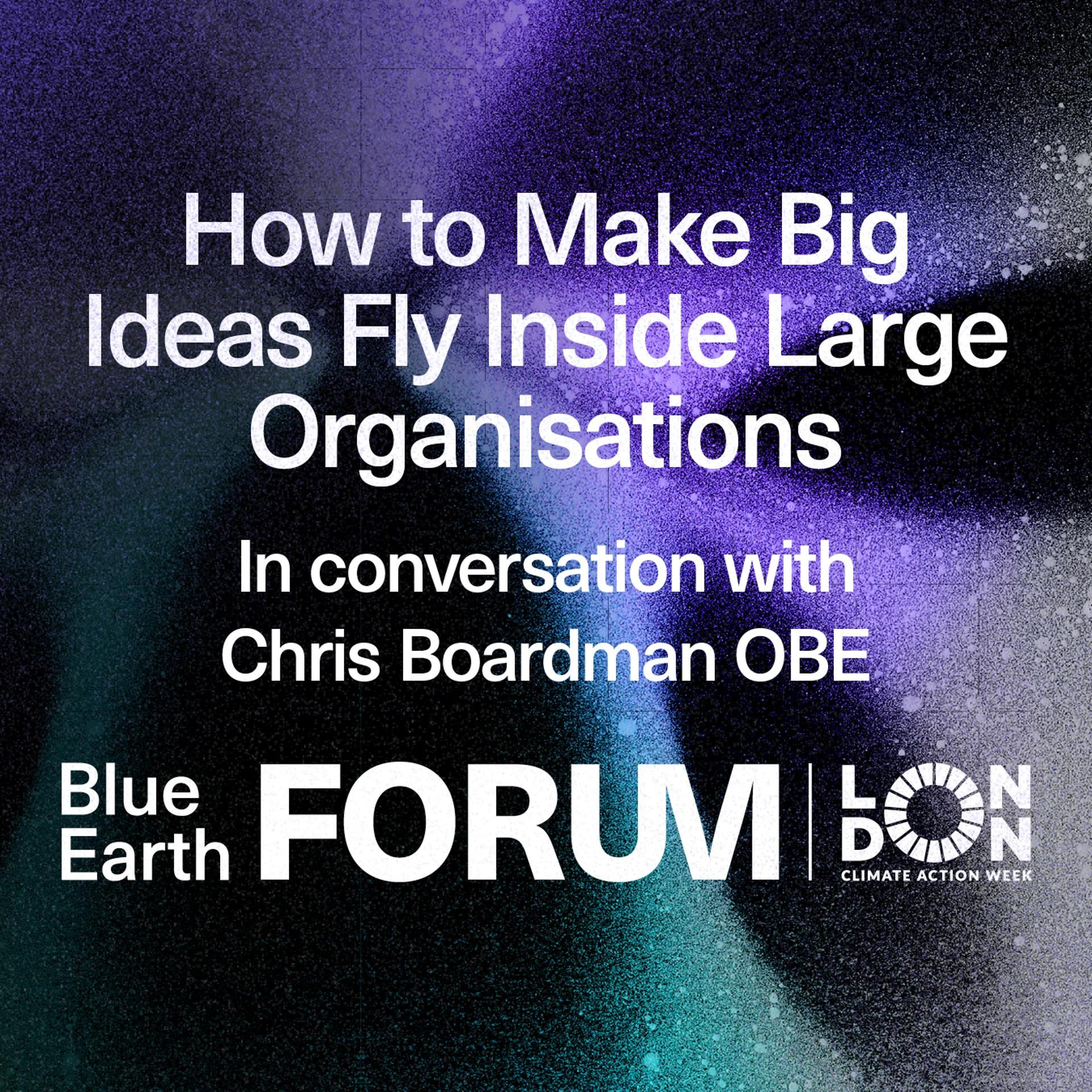 How to Make Big Ideas Fly Inside Large Organisations