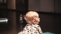 Bebisvisning + Musikstund