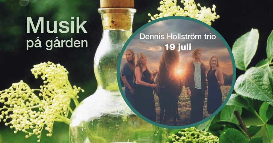 Musik på gården: Dennis Hollström trio, 19 juli