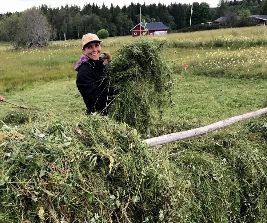 Kurs i lieslåtter