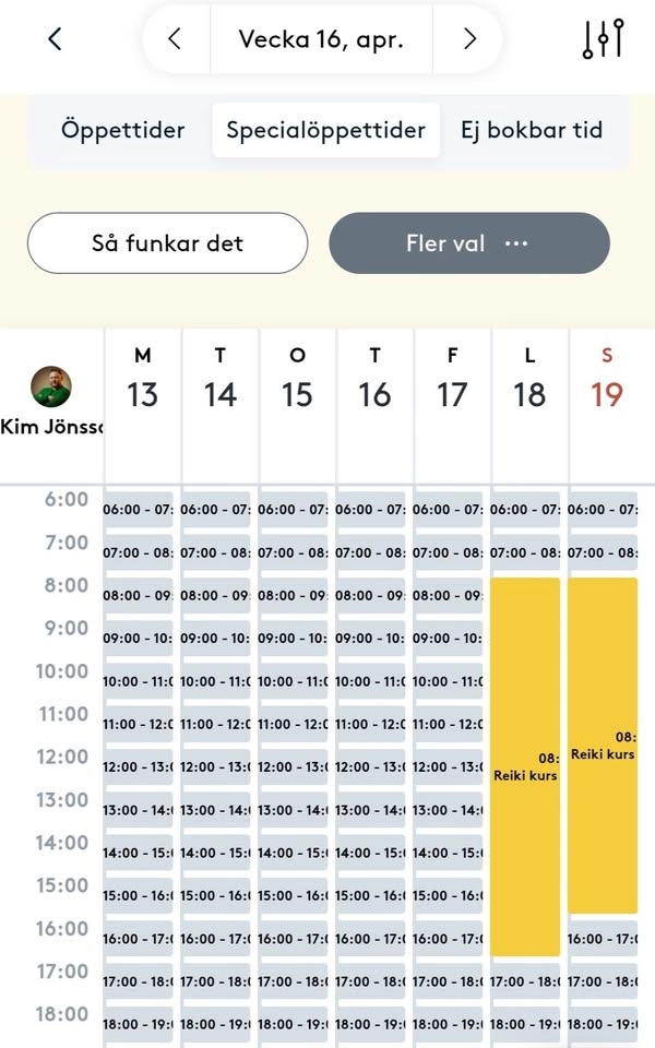 Reiki Kurs, reiki usua holy fiređ„