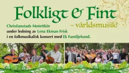 Folkligt & Fint - världsmusik