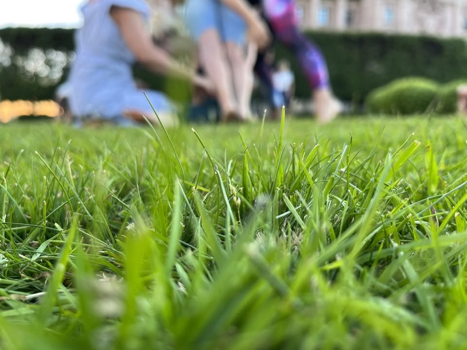 Contact Improvisation dance - outdoors