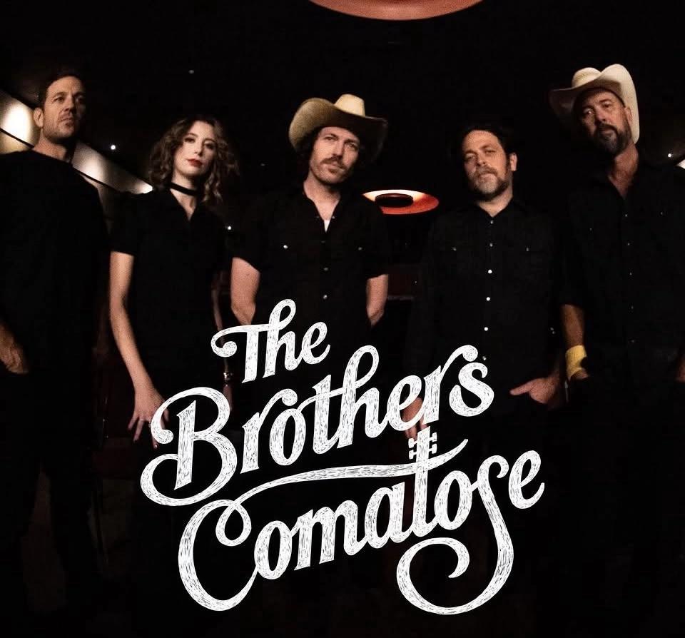 The Brothers Comatose Concert Cruise!