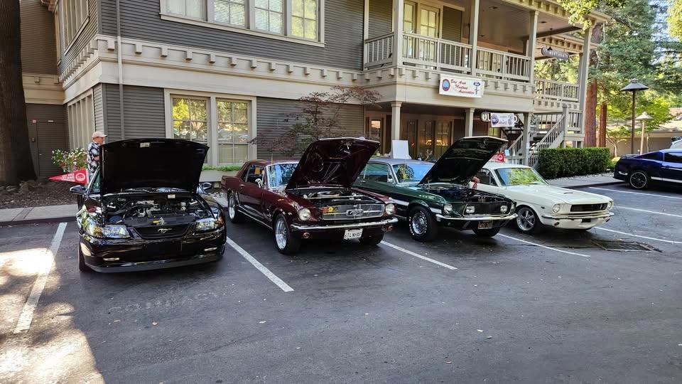 Ponies & Snakes Car Show