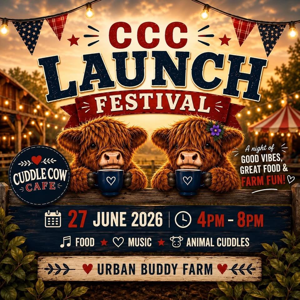 Cuddle Cow Cafe Launch Festival