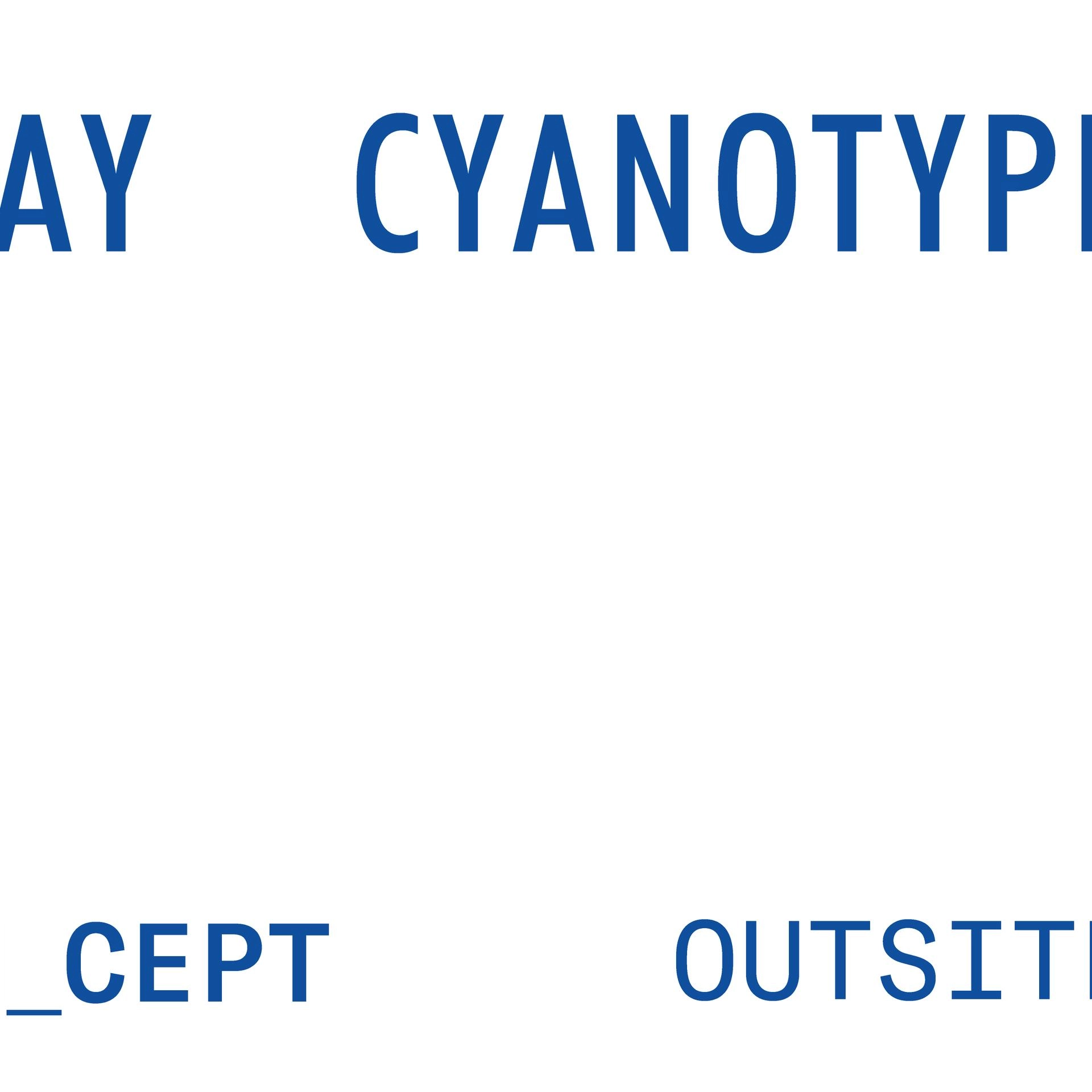Cyanotype Workshop