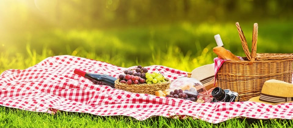 Westshore Community Picnic