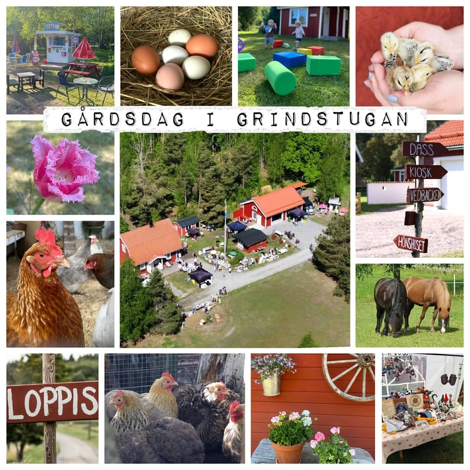 Gårdsdag i Grindstugan