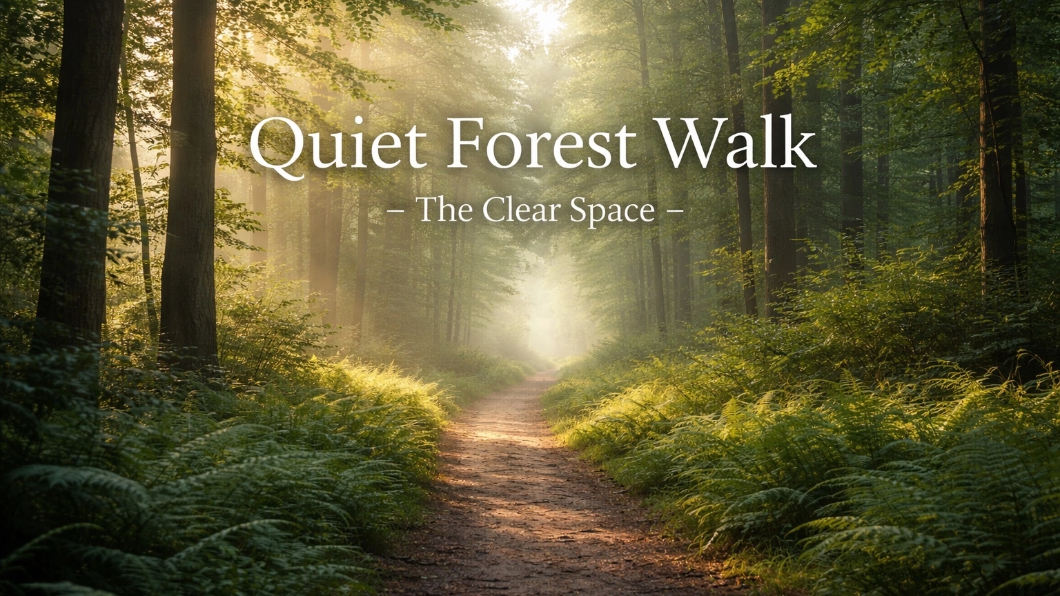 Quiet Forest Walk