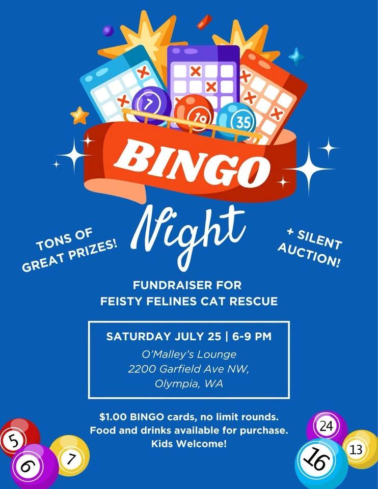 Feisty Felines' BINGO!