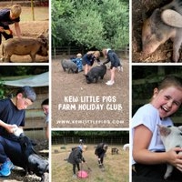 Kew Little Pigs Farm May Half Term Holiday Club