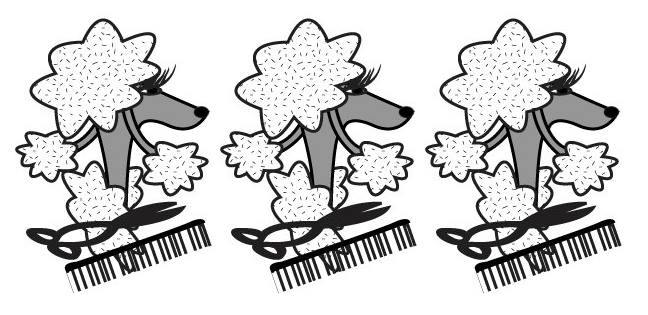 Pälsvård Vardagsklippning/Grundkurs