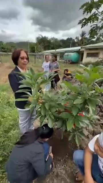 AIMAPON soon again in Lamut, Ifugao