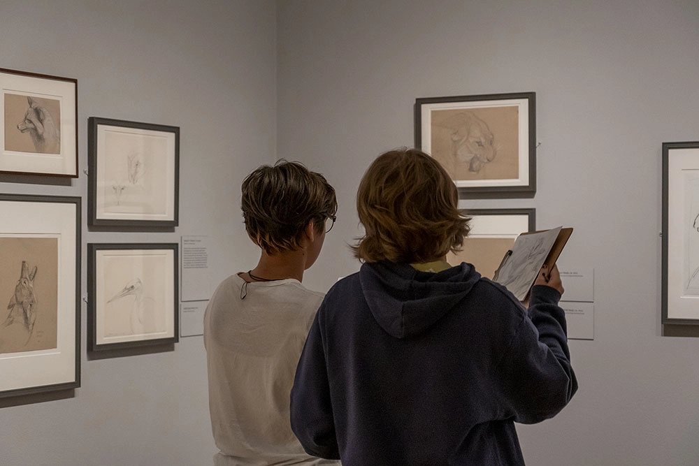 Teen Workshop | P.O.V. Who Tells the Story?