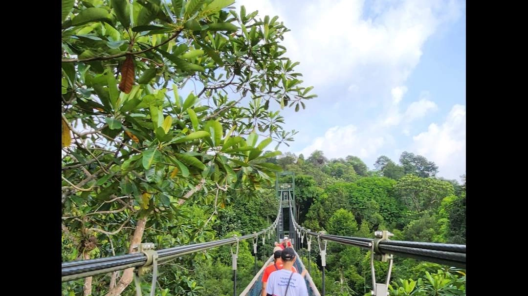 MacRitchie Reservoir / Treetop Walk / Upp Peirce Reservoir ~ 15km