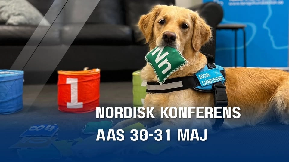 Nordisk konferens AAS